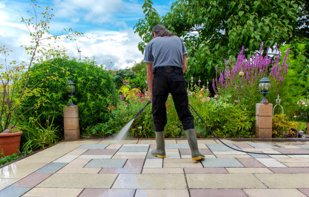 Best Fence Cleaning  in Lake Erie Beach, NY